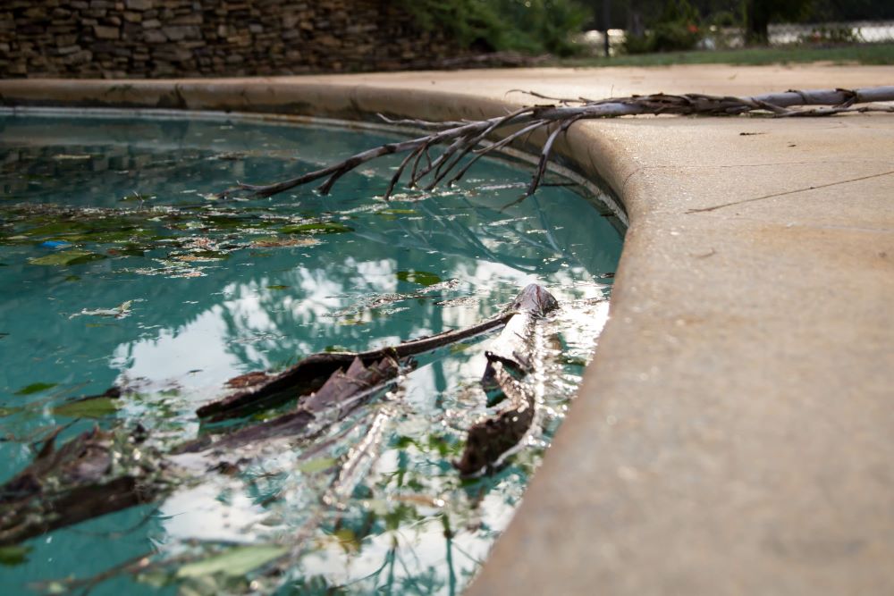 Debris in a dirty pool after a hurricane in Florida.